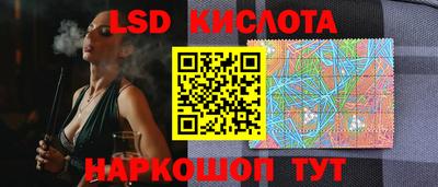 шишки Лесосибирск