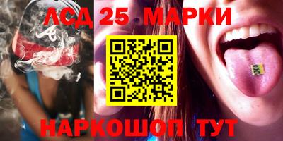 шишки Лесосибирск