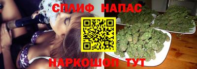 шишки Лесосибирск