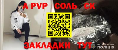 шишки Лесосибирск