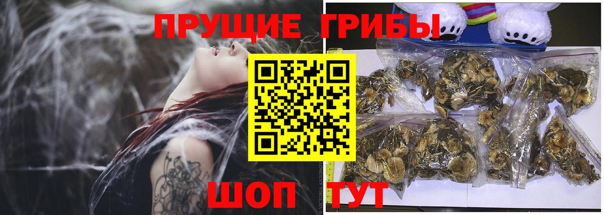 Галлюциногенные грибы Psilocybe  Вход с VPN  где можно купить   Усолье-Сибирское 